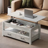 Greenstell Lift Top Coffee Table with 2 Drawers,39"Wide, Gray