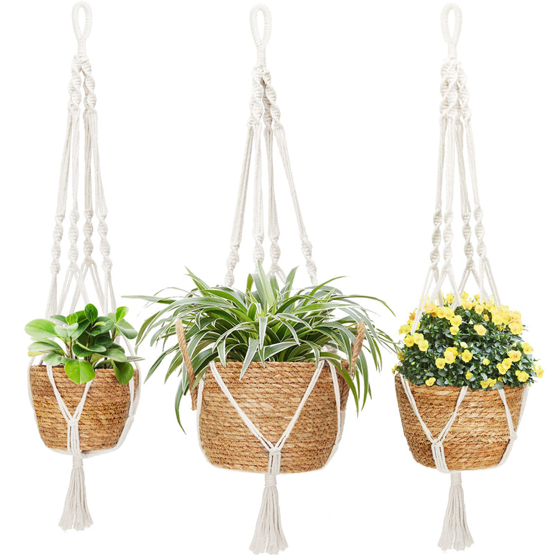 ropes to hang plants Greenstell 3 Pcs Hand-woven Seagrass Hanging Planter & Macrame Ropes