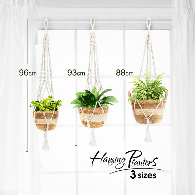 sisal rope plant hanger Greenstell 3 Pcs Hand-woven Seagrass Hanging Planter & Macrame Ropes