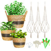 Greenstell 3 Pcs Macrame Plant Hangers and Hand-woven Seagrass Hanging Planter