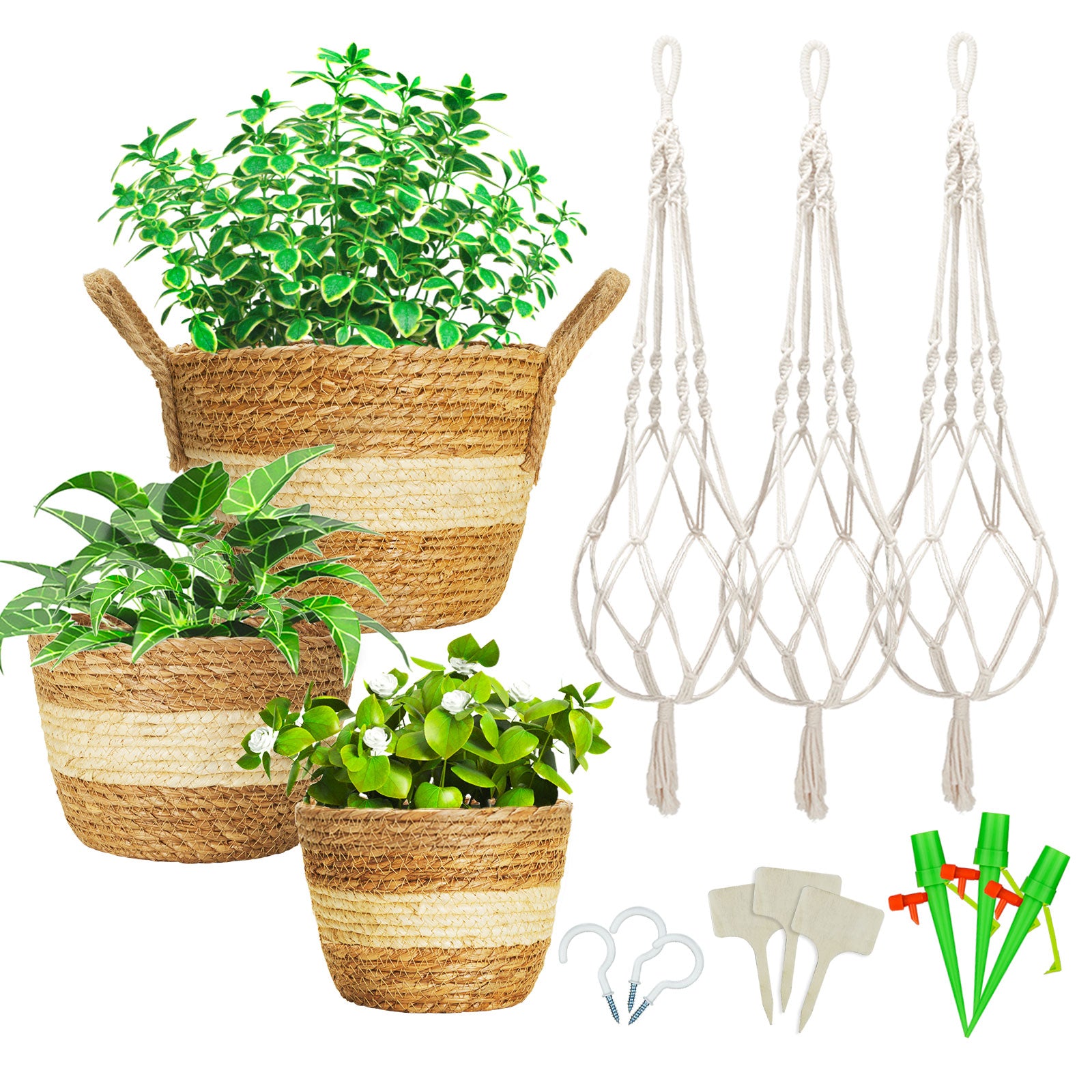 white rope plant hanger Greenstell 3 Pcs Hand-woven Seagrass Hanging Planter & Macrame Ropes